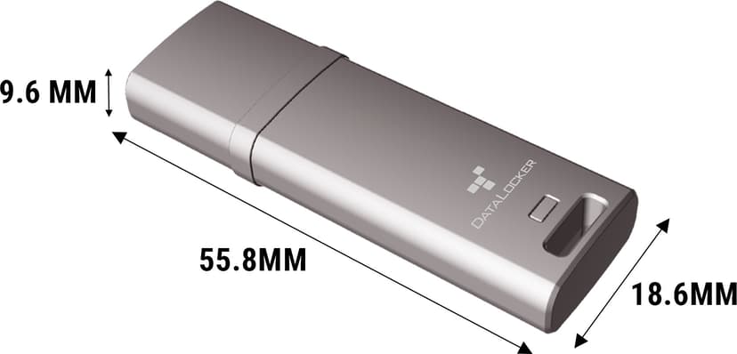 Datalocker DL GO 4GB USB-A Grå