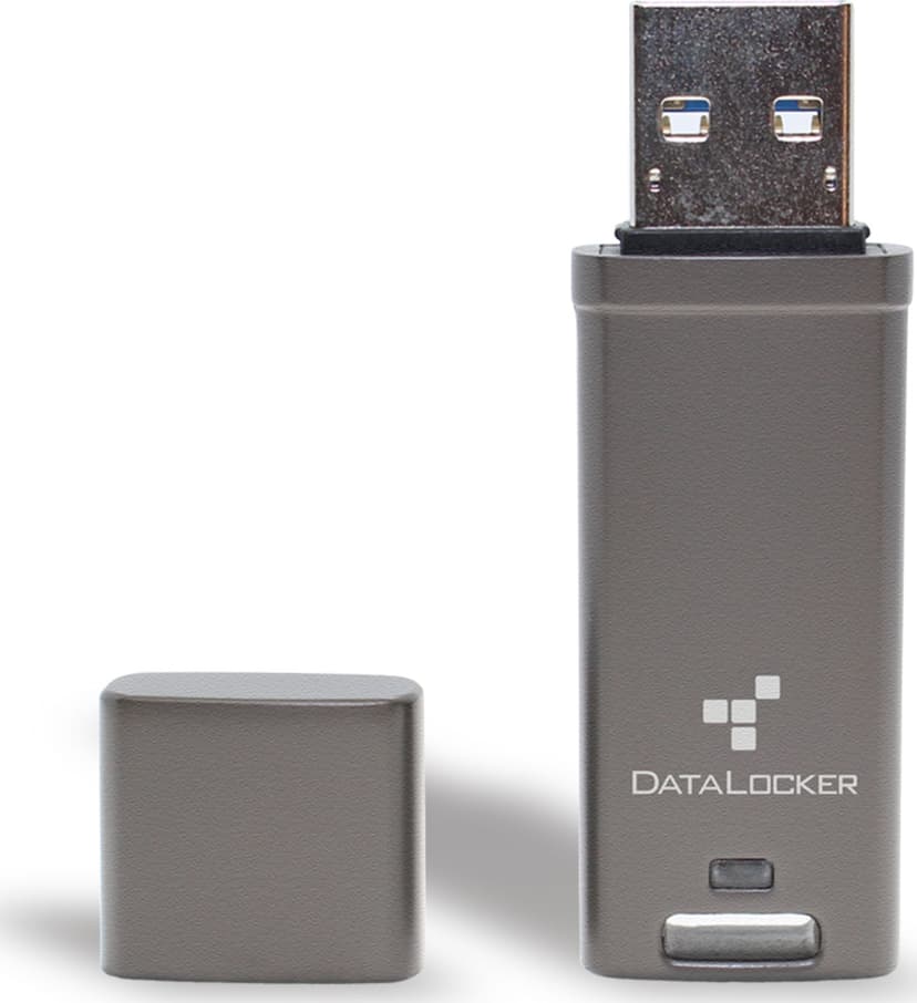 Datalocker DL GO 4GB USB-A Grå