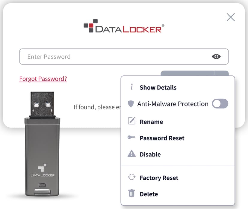 Datalocker DL GO 4GB USB-A Grå