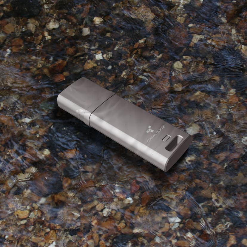 Datalocker DL GO 4GB USB-A Grå