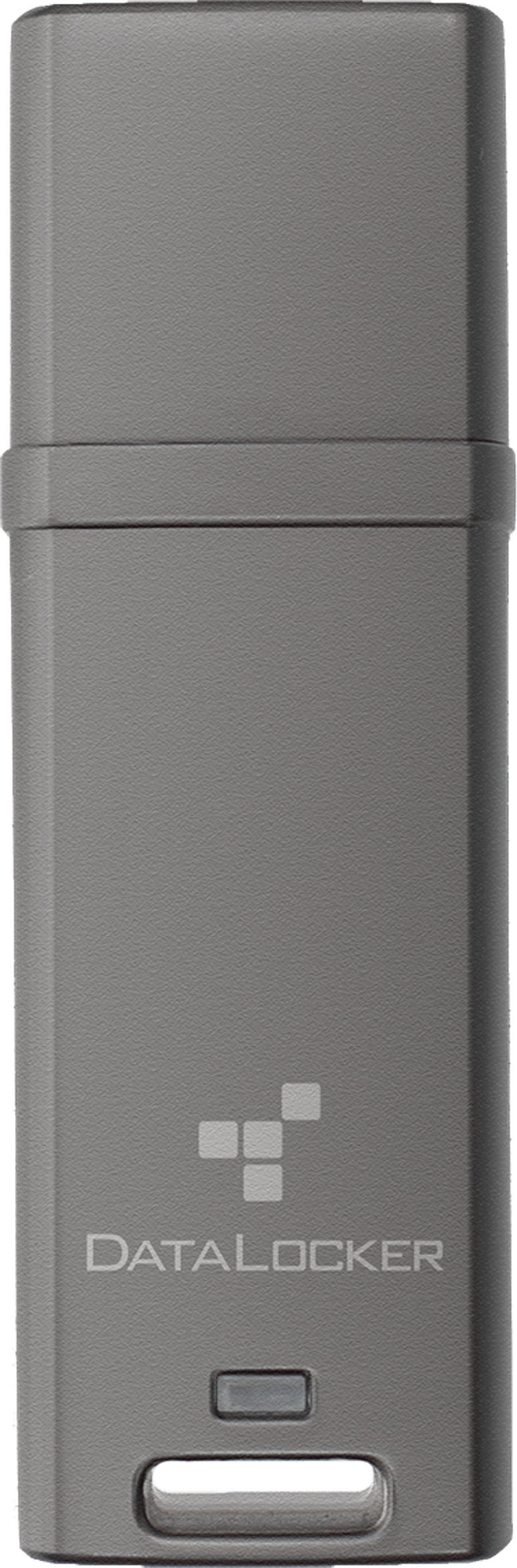 Datalocker DL GO 4GB USB-A Grå