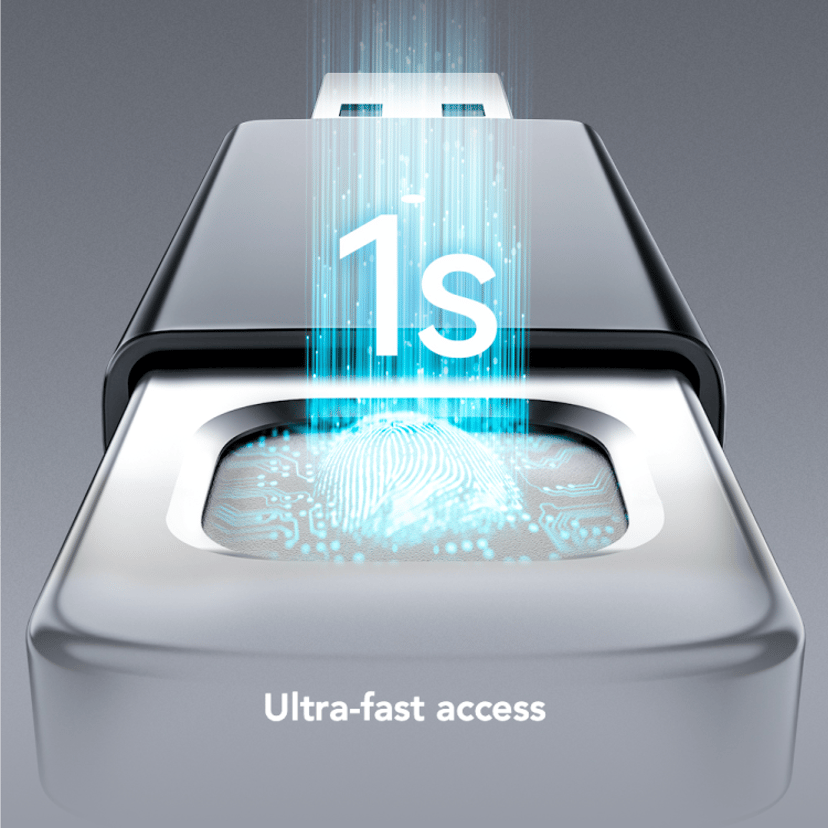 Lexar JumpDrive Fingerprint F35pro 256GB USB-A Svart, Sølv