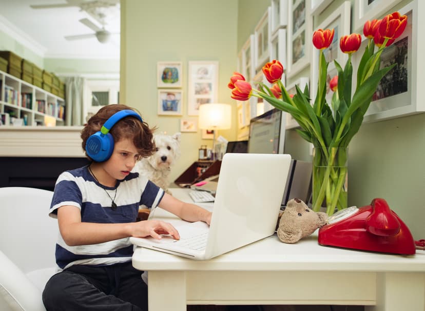 JBL JR 460NC Stereo USB-C Valkoinen