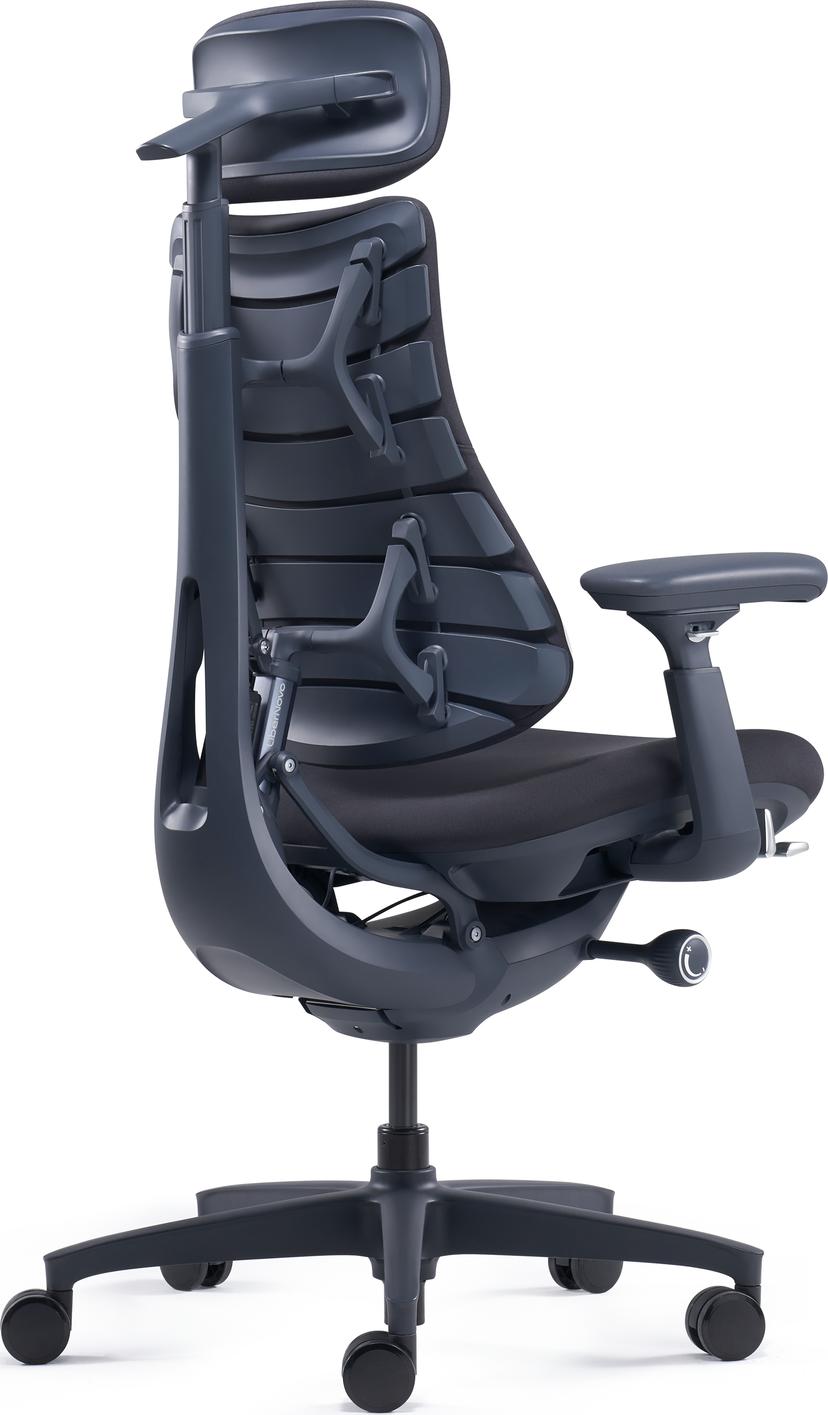 Libernovo Omni ergonomisk stol 48 cm midnats sort