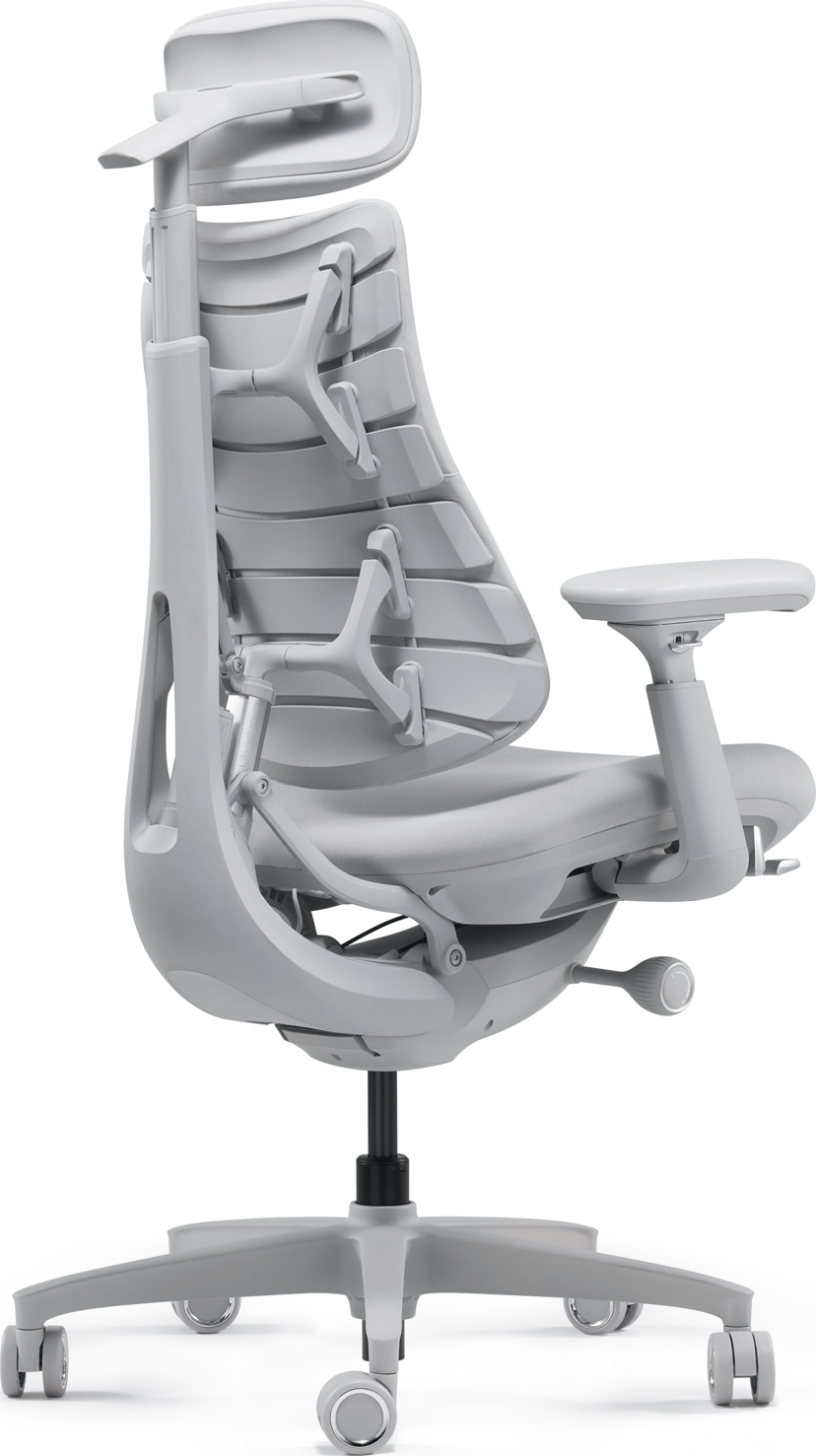 Libernovo Omni ergonominen tuoli 48 cm space grey