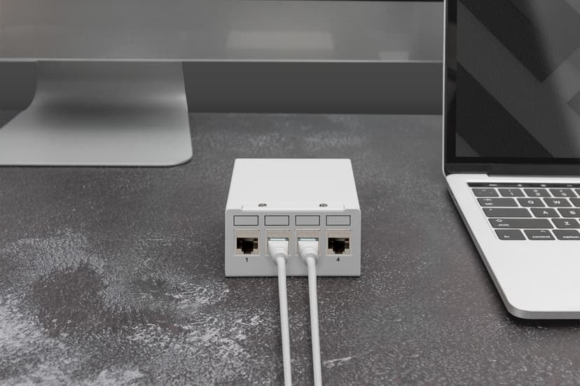 Digitus DN-93617-4 keystonemodule