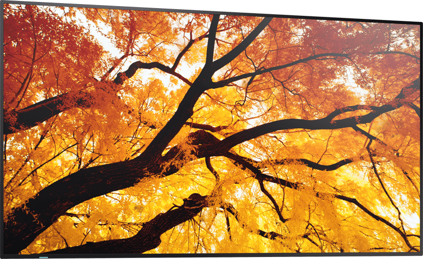 Sharp MultiSync M432 42.5" IPS 550cd/m² 3840 × 2160pixels