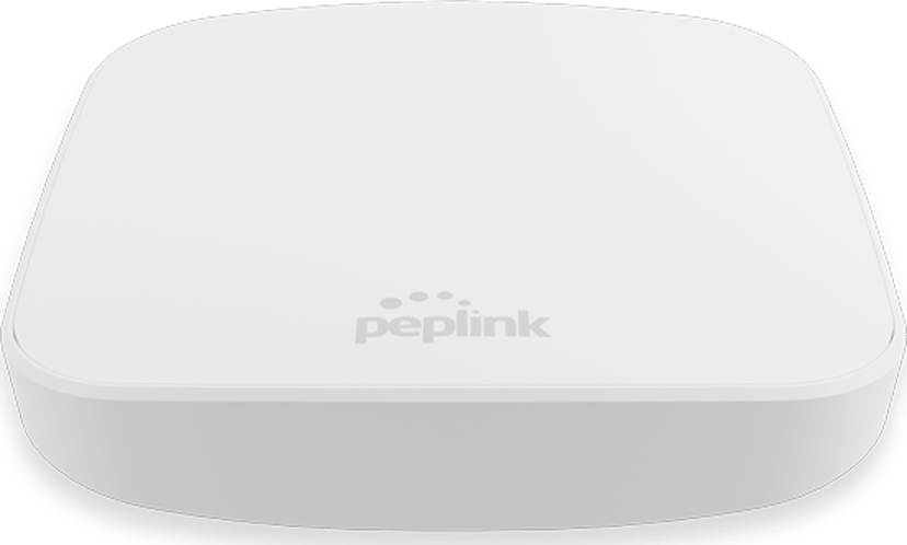 PEPLINK AP One Mini WiFi 5-åtkomstpunkt
