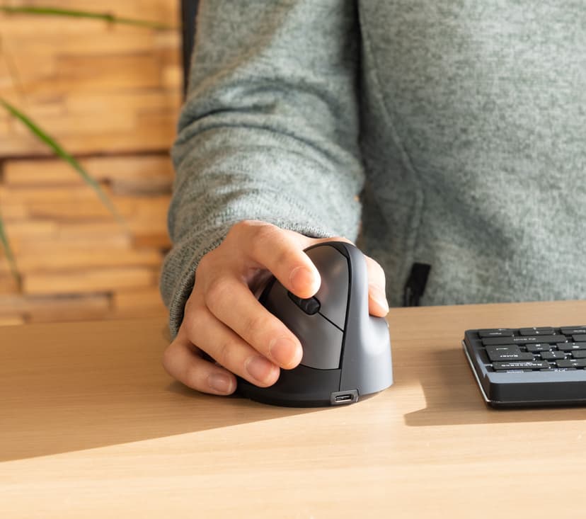 R-Go Tools HE Mouse - Large - (Kuppvare klasse 2) Bluetooth Mus