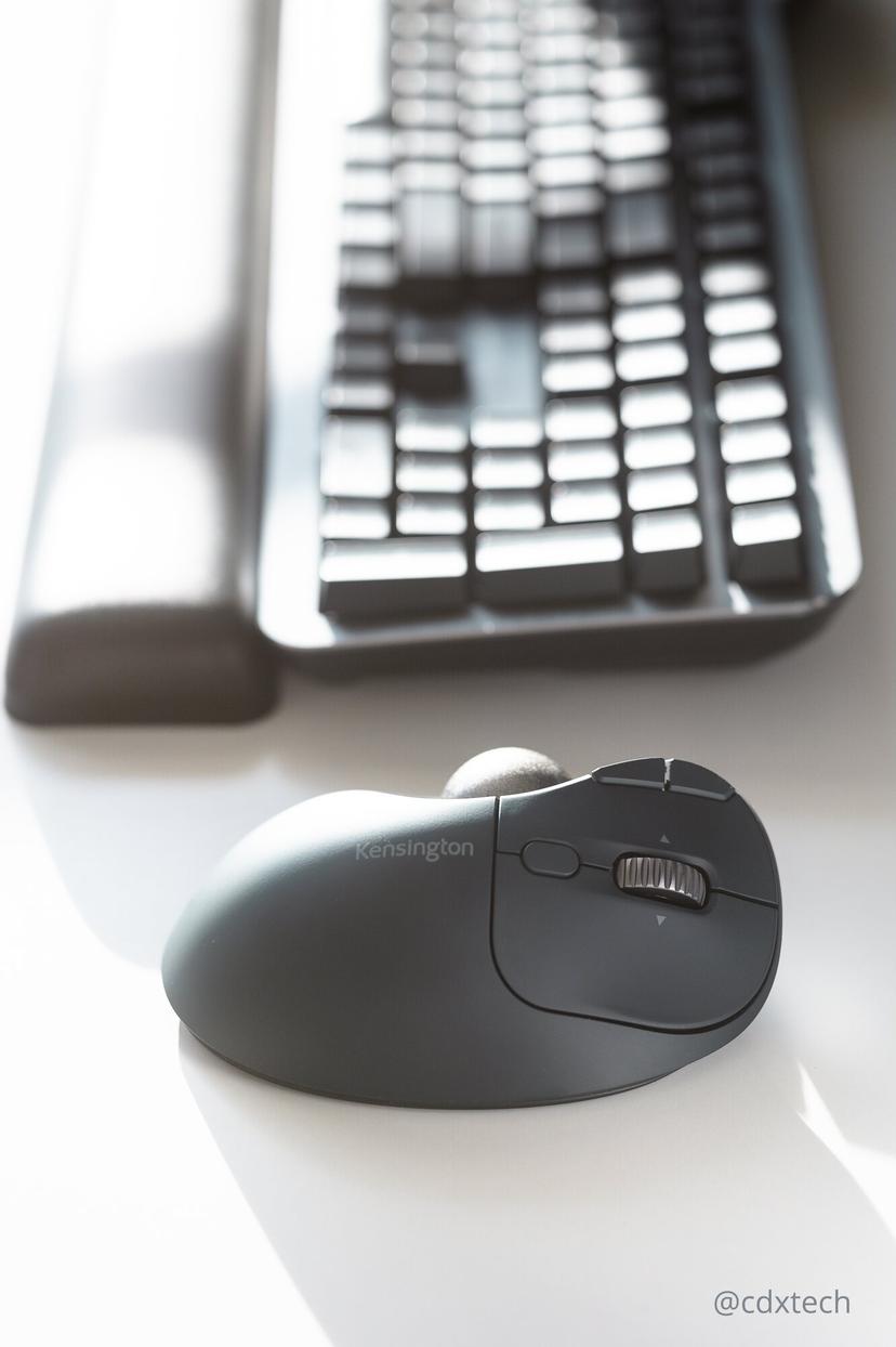 Kensington Pro Fit Ergo TB550 RF trådløs + Bluetooth Trackball Sort, Grå