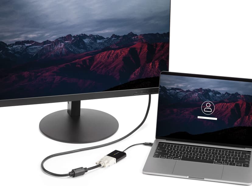 Startech USB C to DVI Adapter ekstern videoadapter