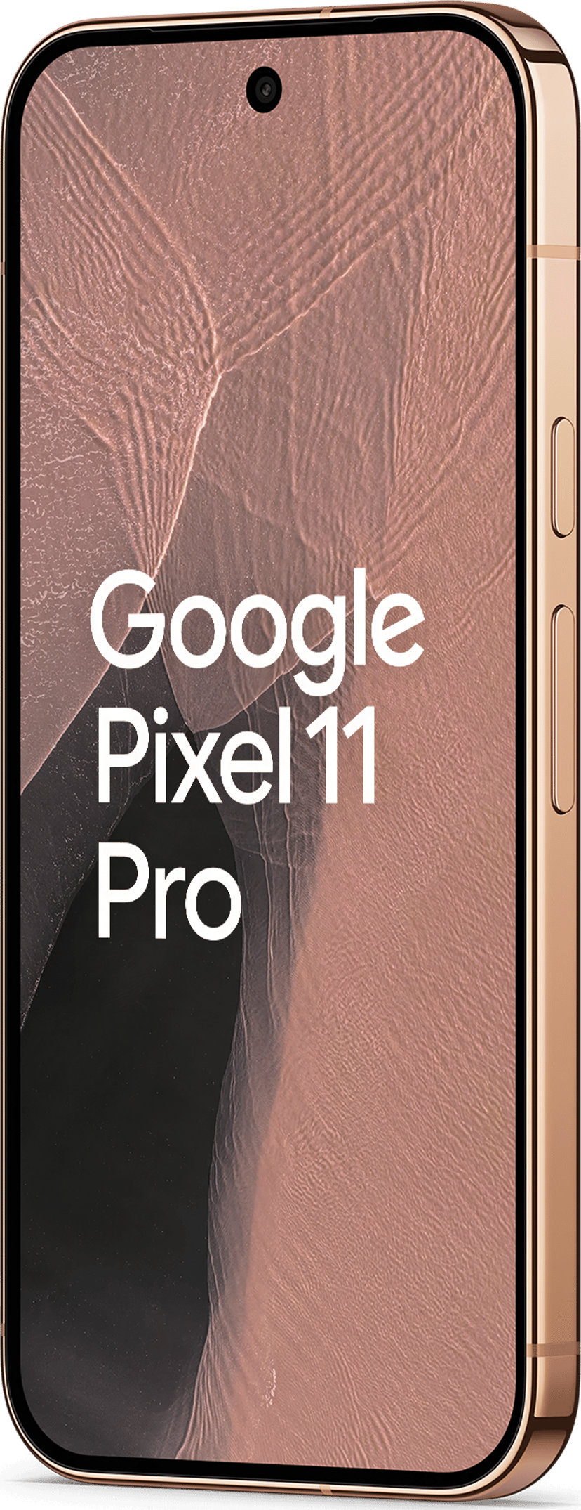 Google Pixel 11 Pro 256GB Canyon
