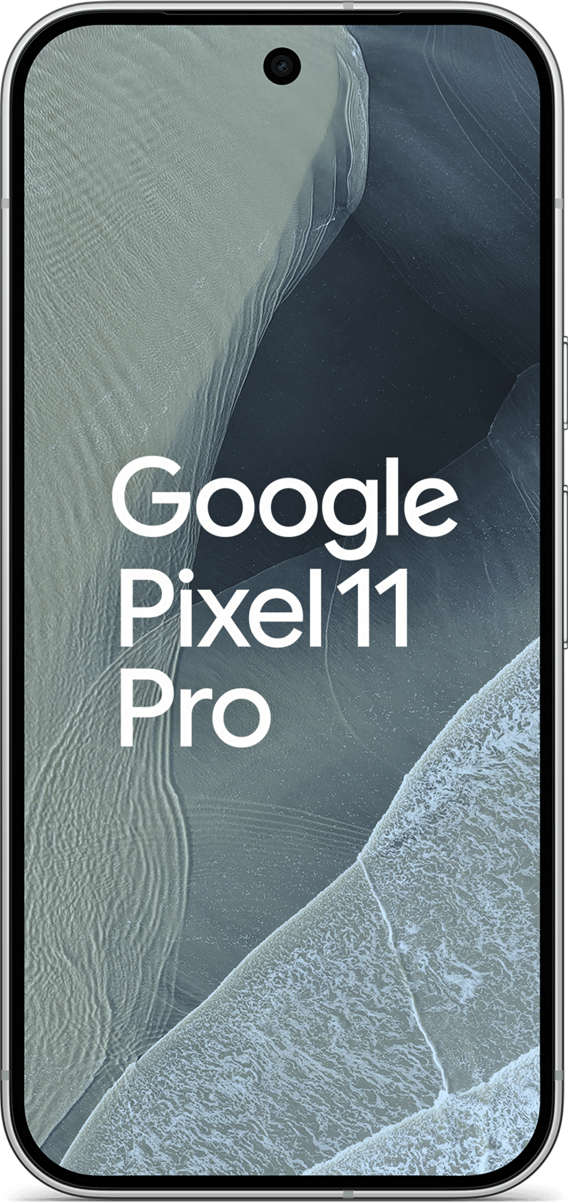 Google Pixel 11 Pro 256GB Fog
