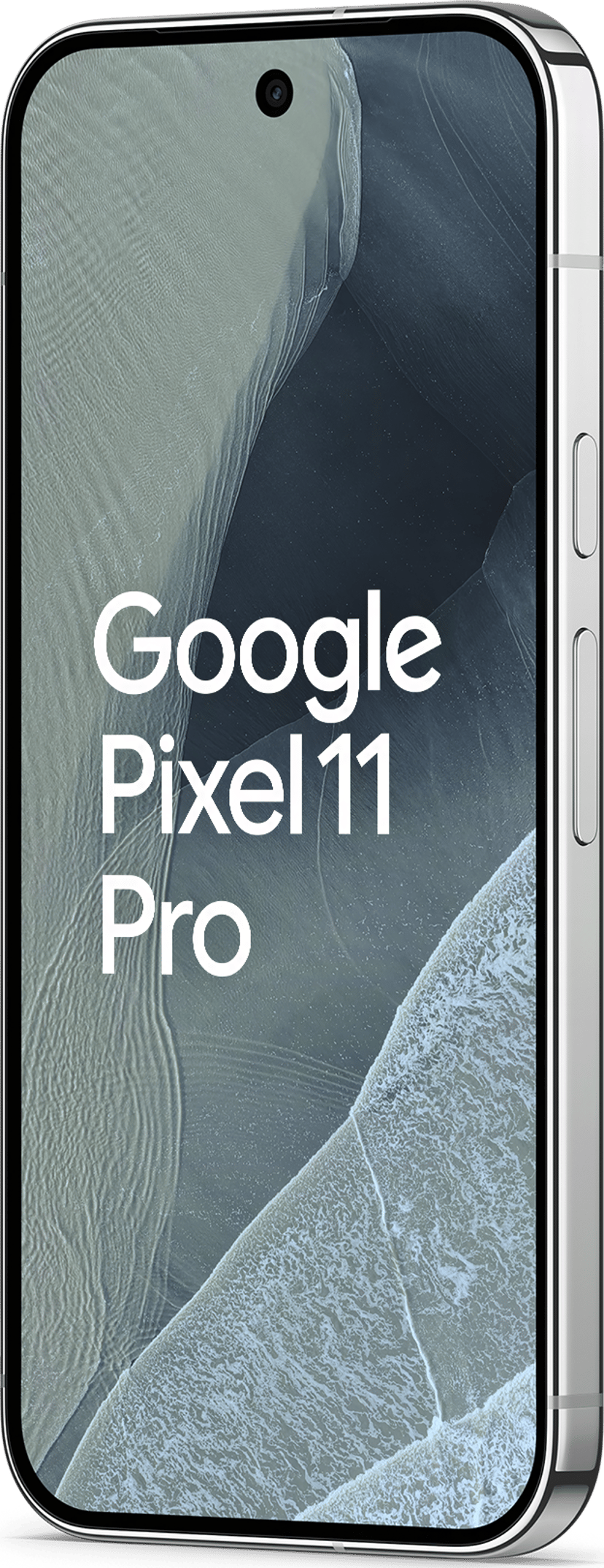 Google Pixel 11 Pro 256GB Fog