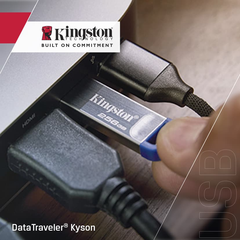 Kingston DataTraveler Kyson G2 256GB 256GB USB-A Rustfrit stål
