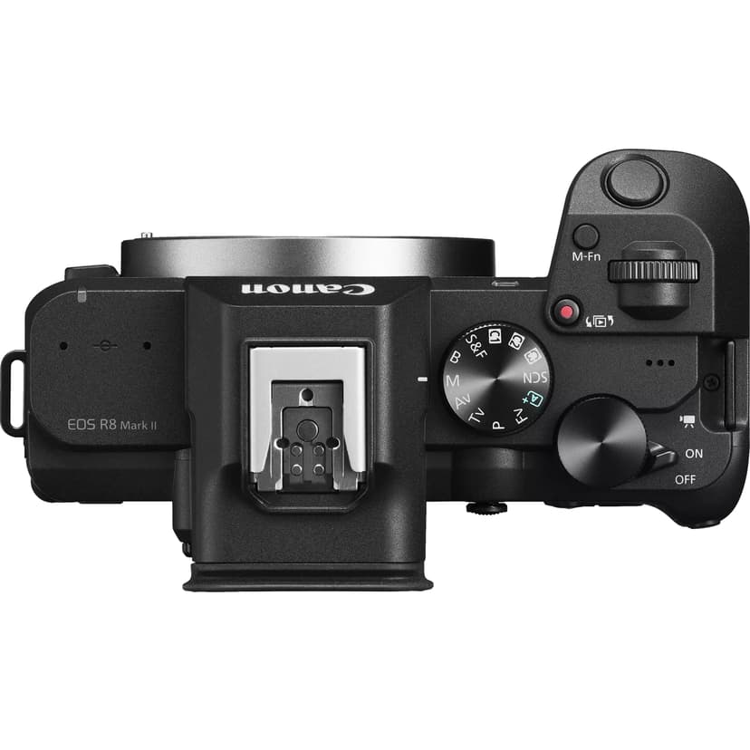 Canon EOS R8 Mark II + RF 24-105 IS STM