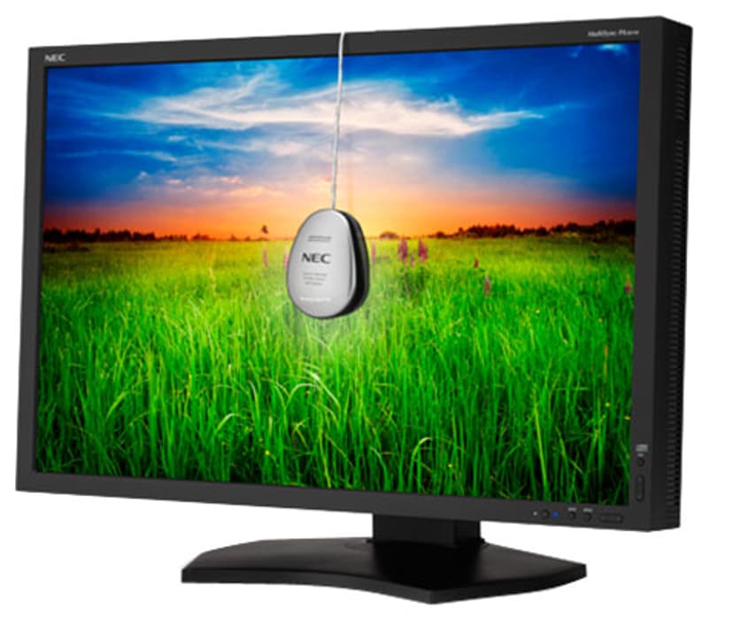 NEC Spectraview 301 30" Wide TFT Black