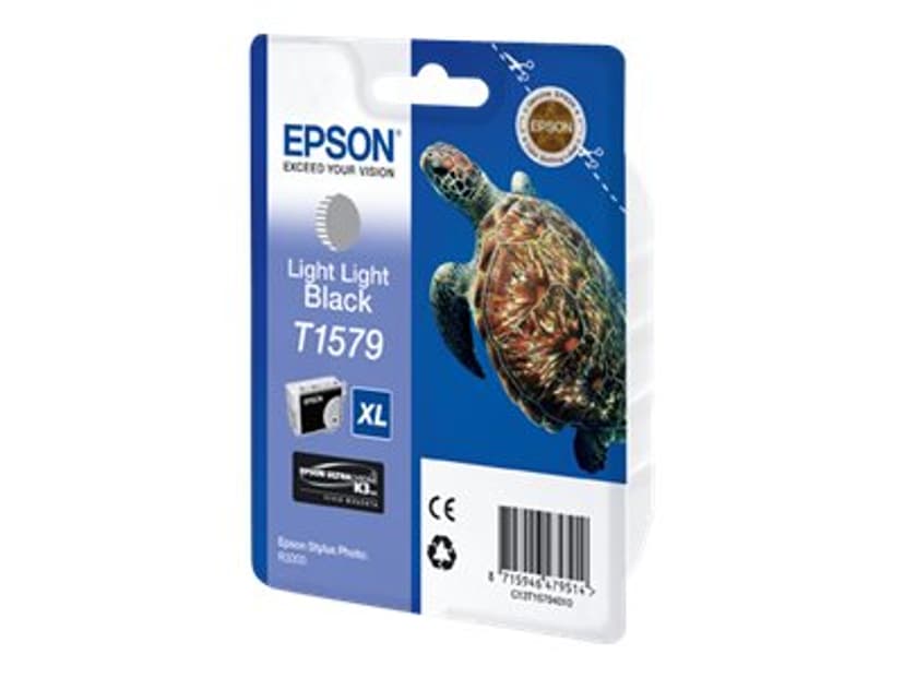 Epson Bläck Ljus Light Svart - STYLUS Foto R3000