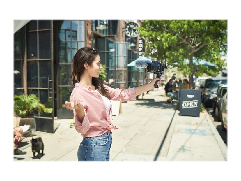 Sony A6600 Body