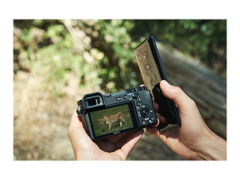 Sony A6600 Body - (Löytötuote luokka 1)