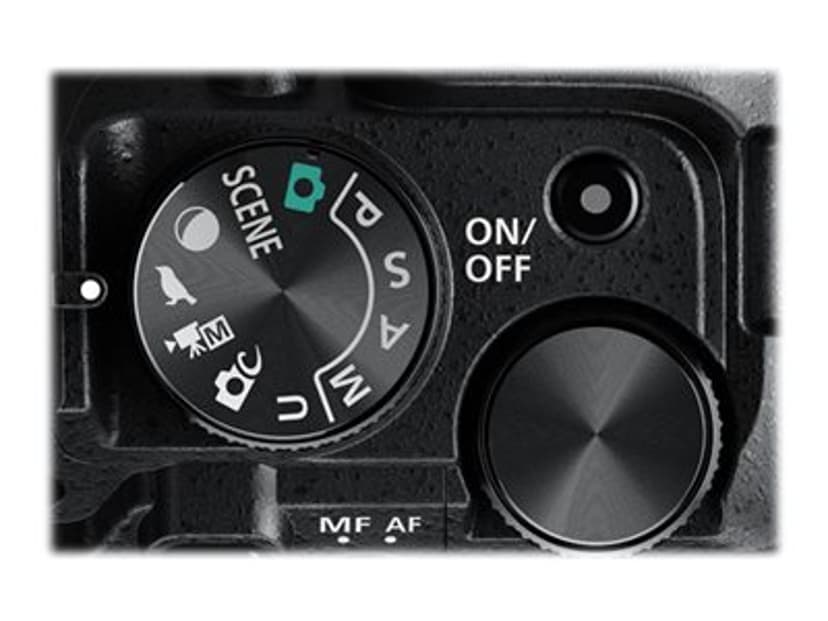 Nikon Coolpix P950