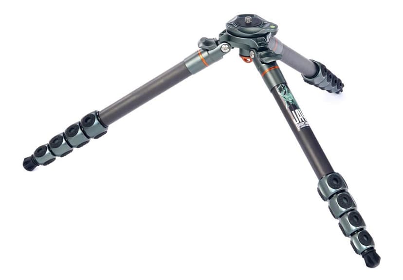 3 Legged Thing Jay