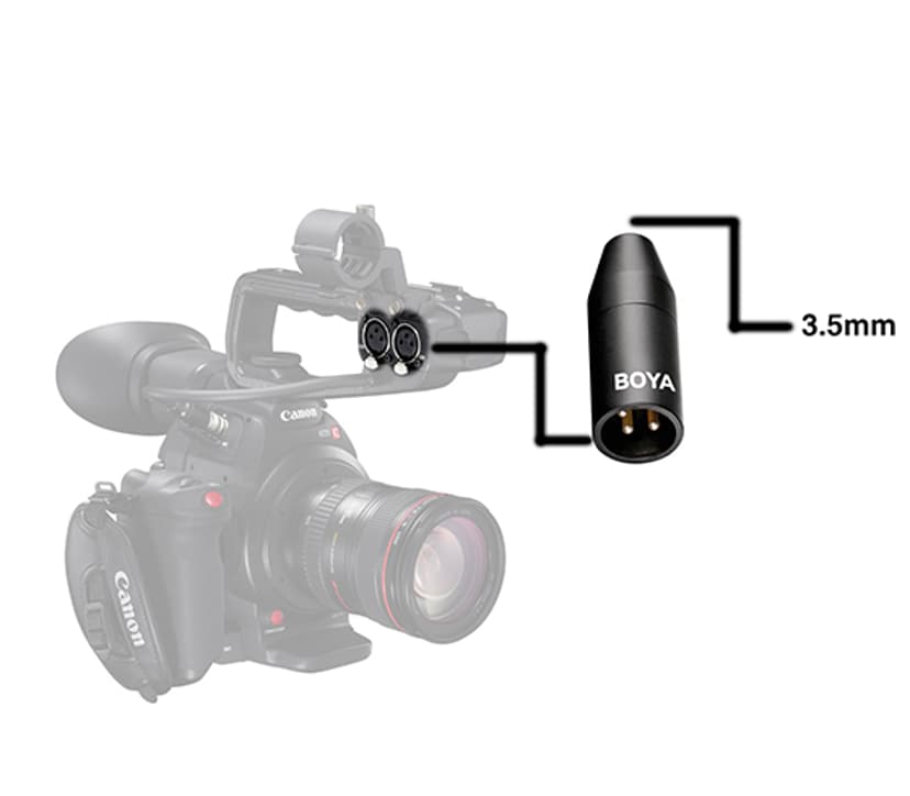Boya 35C-XLR 3.5mm till XLR Konverterare