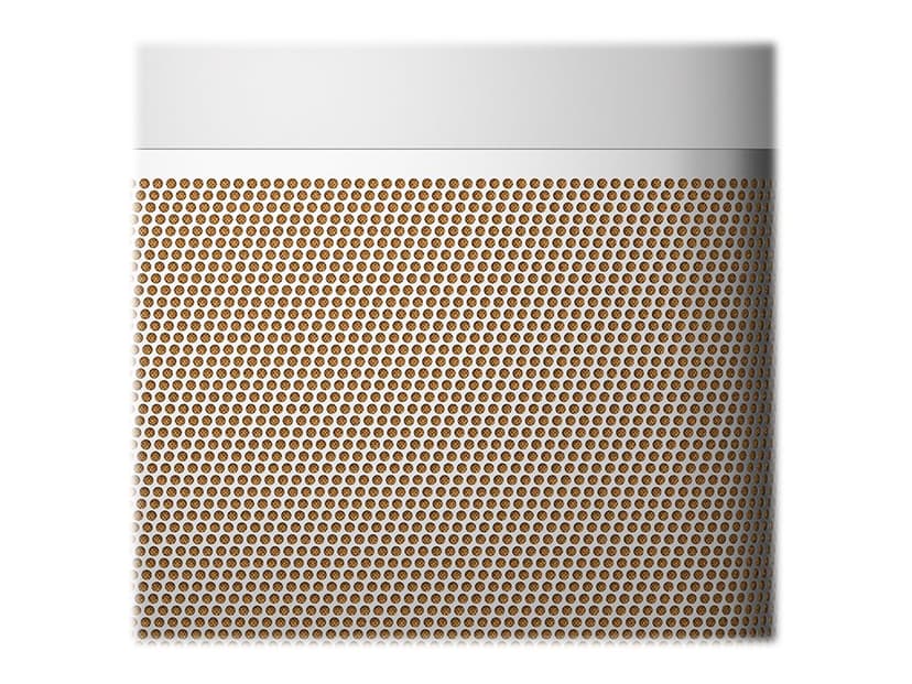 B&O Bang & Olufsen Beolit 20 Draadloze stereoluidspreker Grijs Grijs