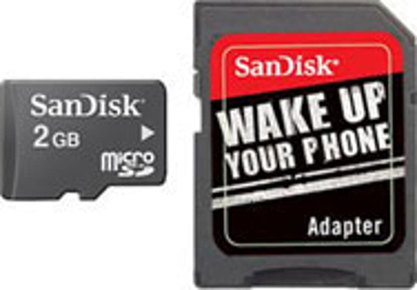 SanDisk Flash-minneskort