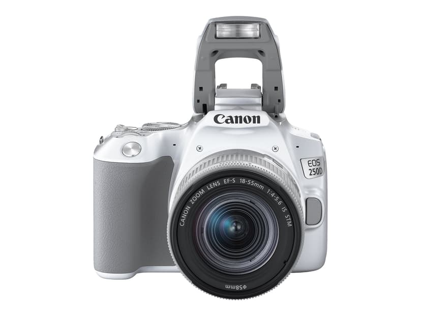 Canon EOS 250D + EF-S 18–55 mm