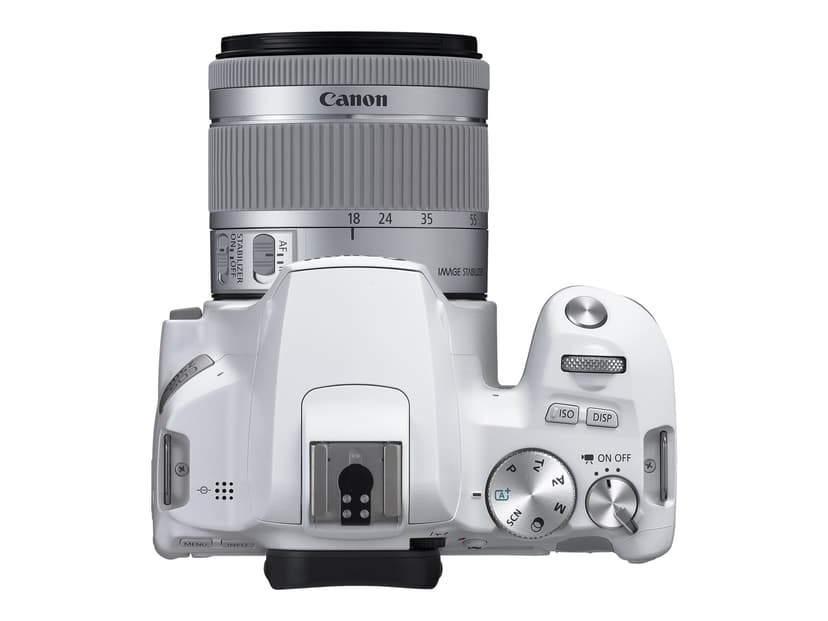 Canon EOS 250D + EF-S 18-55 mm