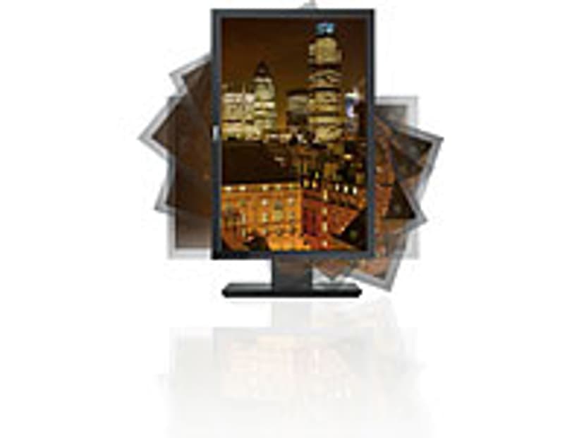 Dell Professional P2210
