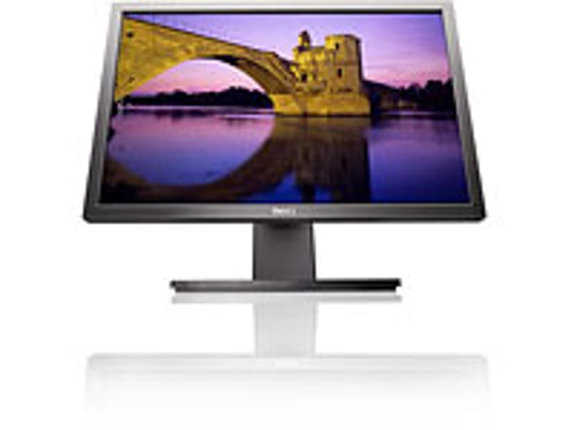 Dell Professional P2210