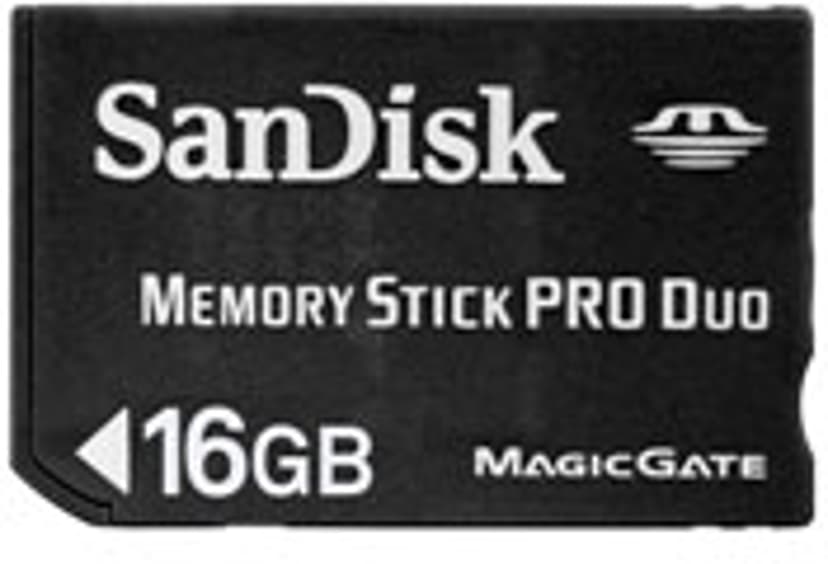 SanDisk Standard