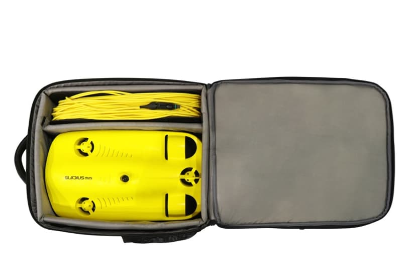 Chasing Gladius Mini Backpack