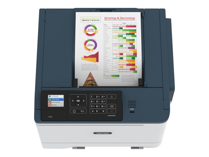 Xerox C310V_DNI A4