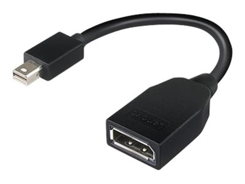 Lenovo DisplayPort adapter Mini DisplayPort DisplayPort Zwart