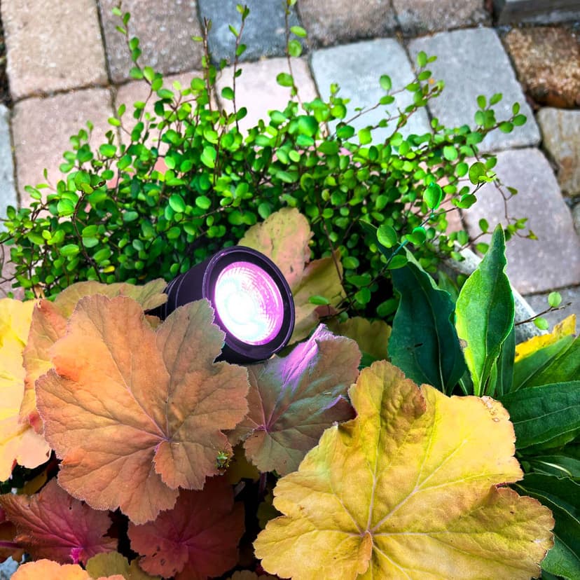 LightsOn Arcus Trädgårdsspot RGB Svart