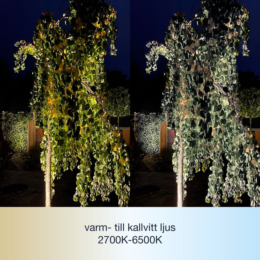 LightsOn Nova Hagespot Varmt – Kaldt Svart