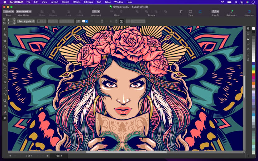 Corel CorelDRAW Graphics Suite 1-års abonnement
