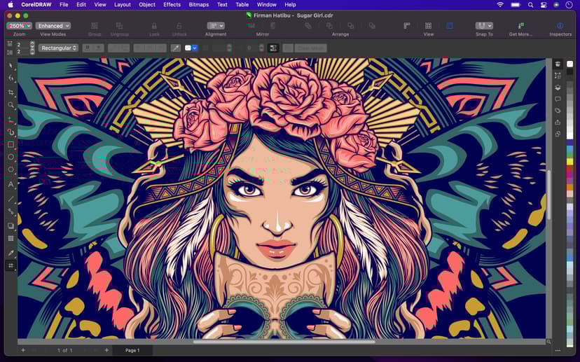 Corel CorelDraw Graphics Suite 1 års prenumeration