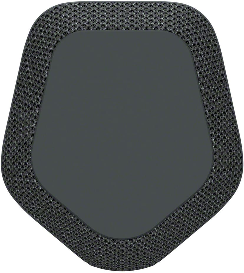 Sony SRS-XE300 Svart