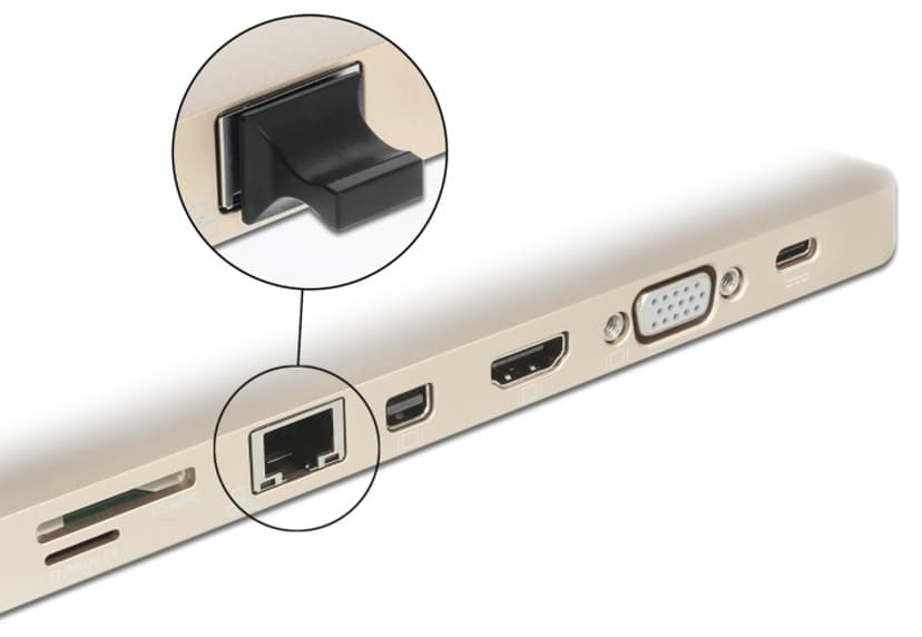 Delock Dust Protection for Network Port 10-Pack