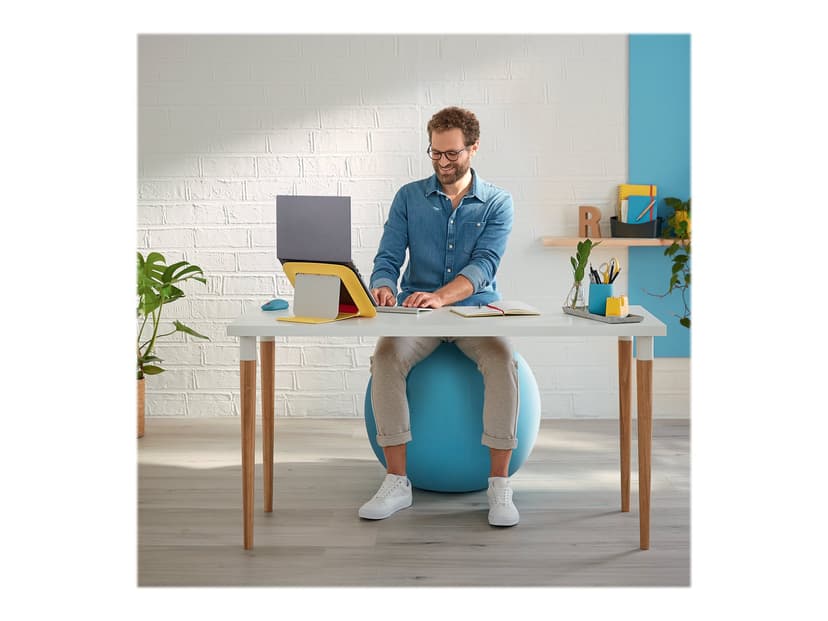 Leitz Cosy Ergo Aktiv balanseball Blå