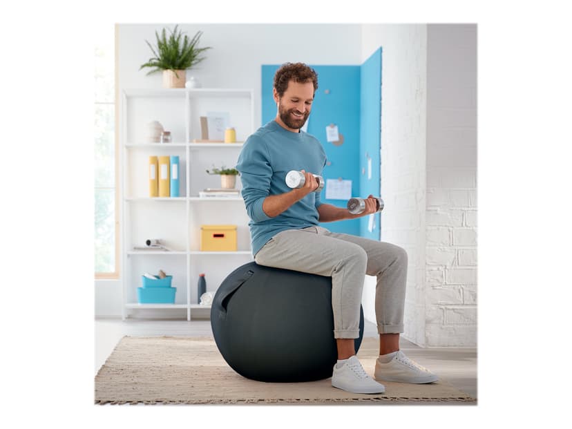 Leitz Cosy Ergo Aktiv balanseball Grå