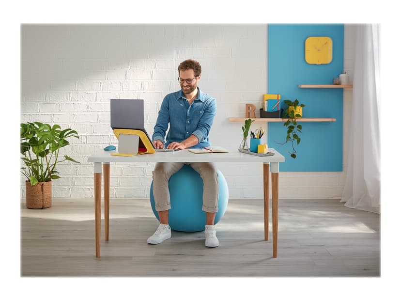Leitz Cosy Ergo Aktiv balanseball Blå