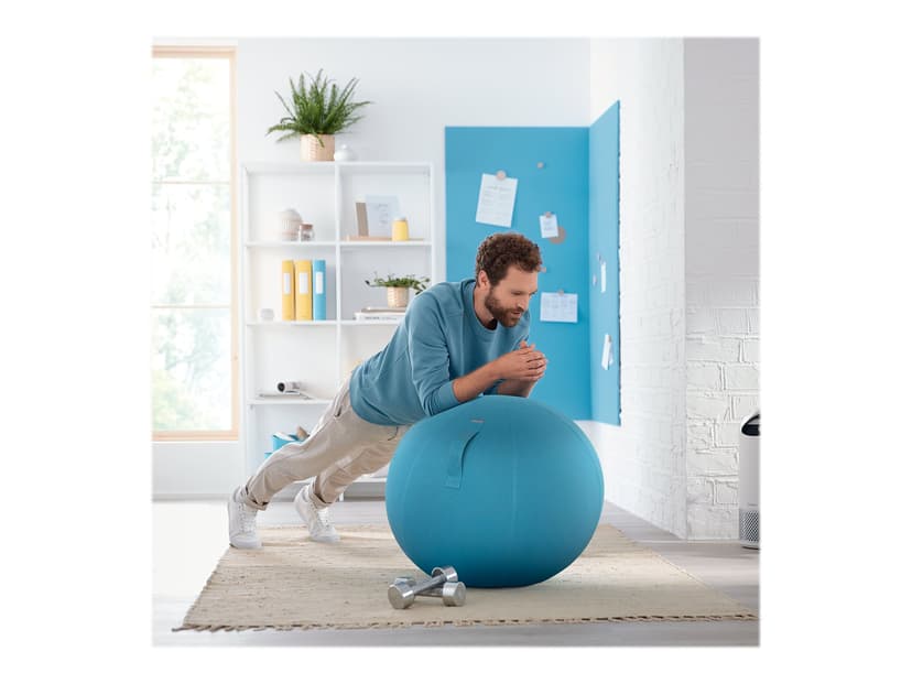 Leitz Cosy Ergo Aktiv Balansboll Blå