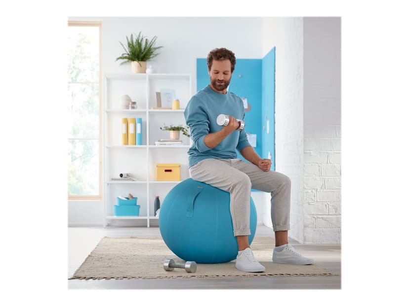 Leitz Cosy Ergo Aktiv balanseball Blå