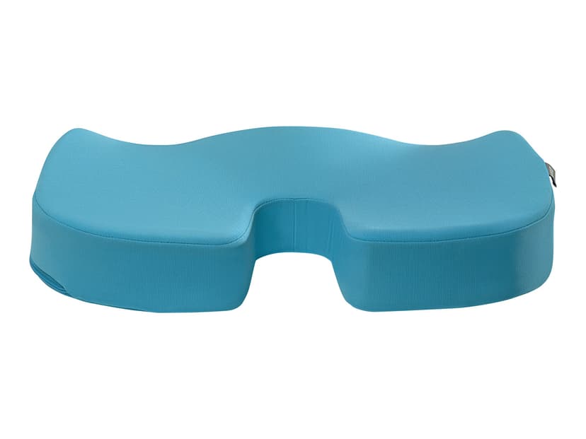 Leitz Cosy Ergo Sittepute Blå