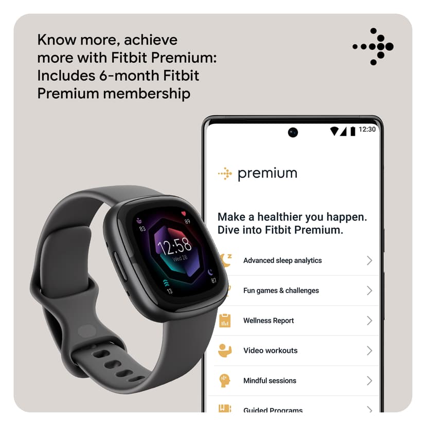 Fitbit Sense 2 Shadow Grey/Graphite Musta